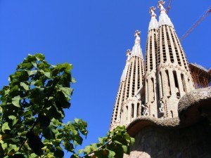 © flickr.com - David Spender